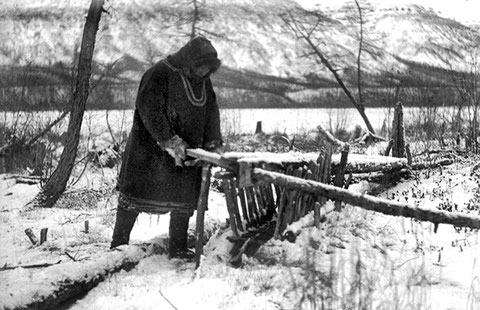 Установка пасти на песца Никон Ботулу. 1938 год. Якутия