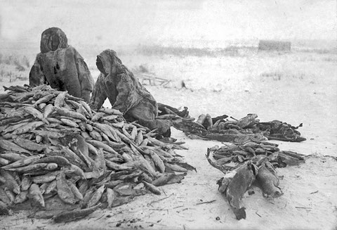 Ловля пеляди на озере Ессей. 1938 год . Якутия